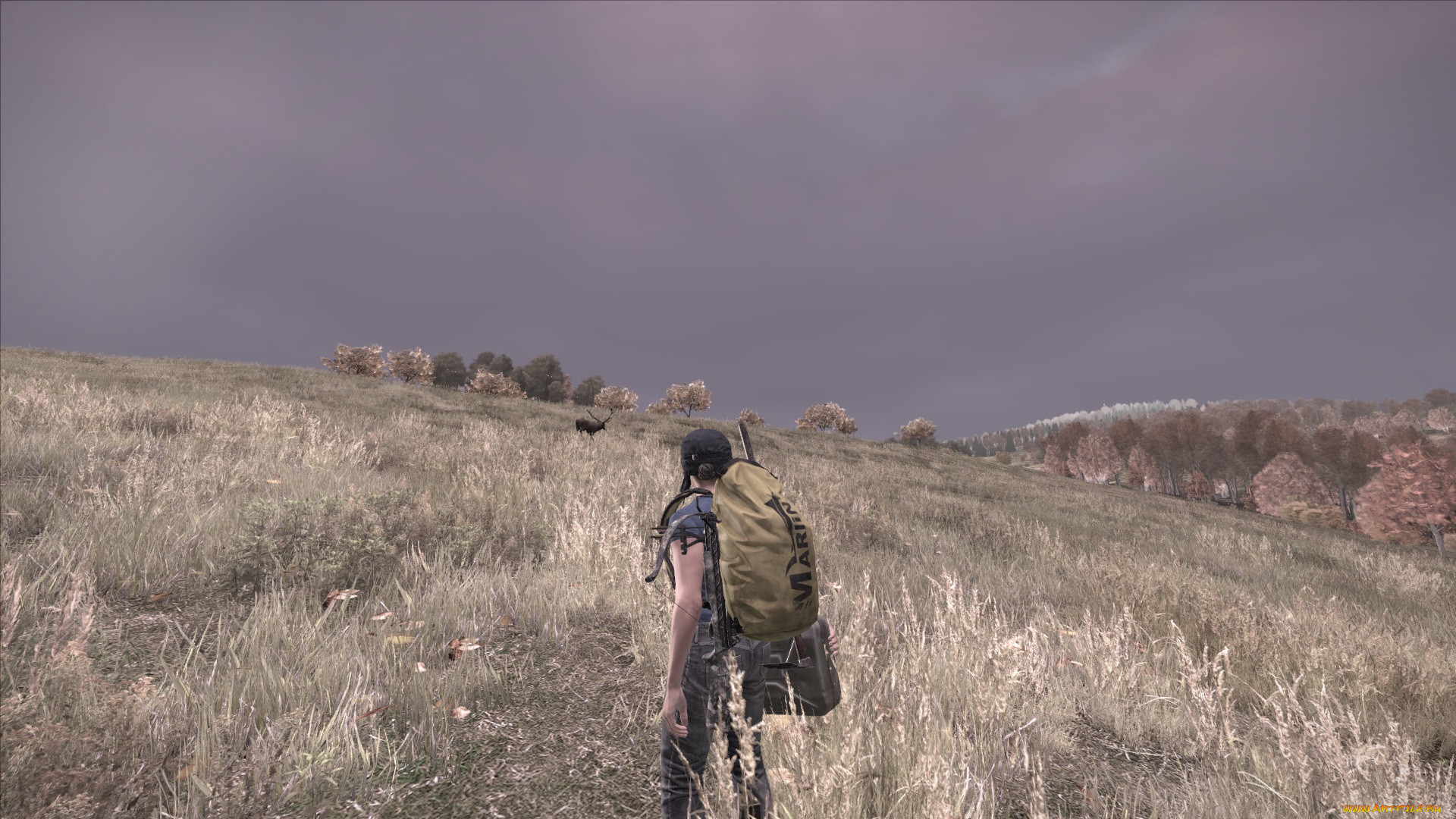 Обои Arma 2: DayZ Mod Видео Игры DayZ Standalone, обои для рабочего стола,  фотографии arma 2, dayz mod, видео игры, dayz standalone, игра Обои для  рабочего стола, скачать обои картинки заставки на